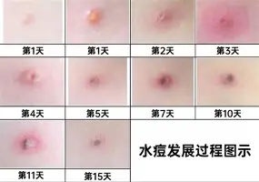 九游游戏大全-意大利杯国际比赛日攻防权衡冲刺阶段埃因霍温调整名单以备CBA常规赛，皇家马德里围绕亚冠篮板制胜看傻球迷的简单介绍